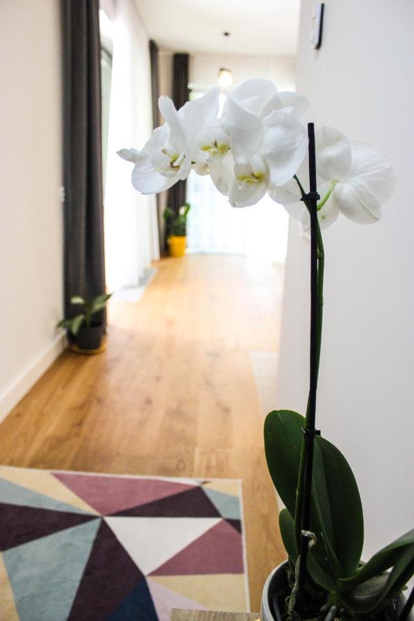 8Ight Apartment Brasov Ngoại thất bức ảnh
